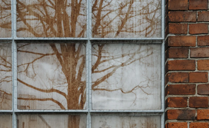 Brick building with a tree reflected in a window