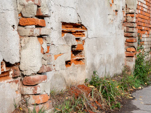 Damaged brick wall with crumbling plaster and weeds growing from damp masonry